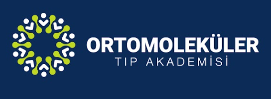 OMT Akademi